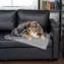 FurHaven Pet Soft-Edge Warming Waterproof Blanket - Multiple Colors, S-XL image thumbnail 3