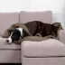 FurHaven Pet Soft-Edge Warming Waterproof Blanket - Multiple Colors, S-XL image thumbnail 3