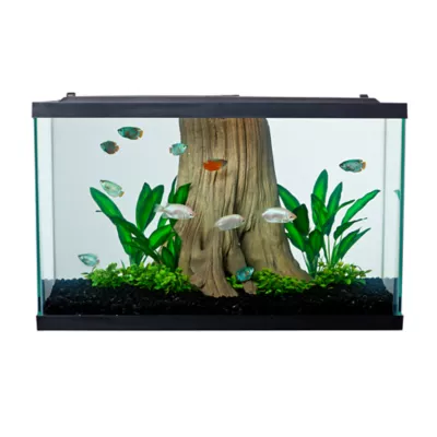 Tetra® Open Glass Aquarium - Image 2
