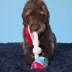 BARK Poopies and Cream Pint Dog Toy image thumbnail 7