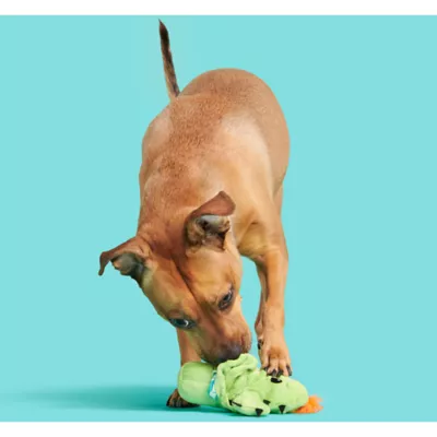 BARK Prickly Pete Dog Toy - Image 2