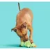 BARK Prickly Pete Dog Toy image thumbnail 4