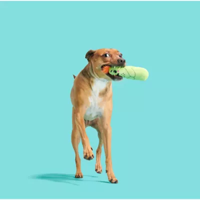 BARK Prickly Pete Dog Toy - Image 5