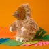 BARK Gordon THe Giant Sloth Dog Toy image thumbnail 4