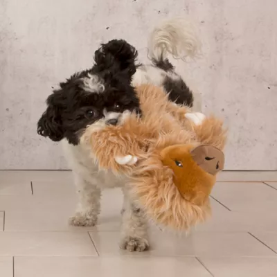 BARK Gordon THe Giant Sloth Dog Toy - Image 5