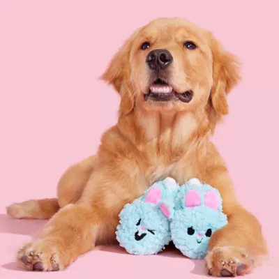 BARK Yippy Skippy Sippies Dog Toy - Image 3