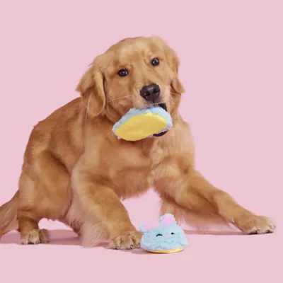 BARK Yippy Skippy Sippies Dog Toy - Image 4