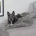 FurHaven Convertible Self-Warming Cuddle Pet Bed, Rainbow, Silver, Gray, Spruce, Small, Large image thumbnail 3