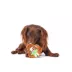 BARK Sonny The Sloth Dog Toy image thumbnail 3