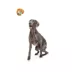 BARK Sonny The Sloth Dog Toy image thumbnail 7