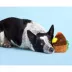 BARK Fowl Play Dog Toy image thumbnail 3
