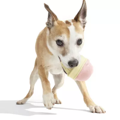 BARK I Squeak Cone Dog Toy - Image 4