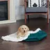 FurHaven Convertible Self-Warming Cuddle Pet Bed, Rainbow, Silver, Gray, Spruce, Small, Large image thumbnail 6