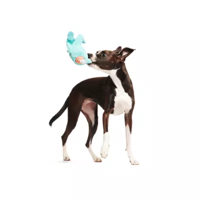 BARK Party Monster Marty Plush Dog Toy - Image 3