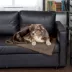 FurHaven Pet Soft-Edge Warming Waterproof Blanket - Multiple Colors, S-XL image thumbnail 3