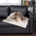 FurHaven Pet Soft-Edge Warming Waterproof Blanket - Multiple Colors, S-XL image thumbnail 3