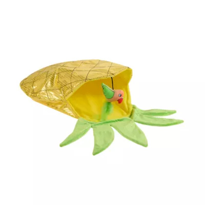 Whisker City® Pineapple Crinkle Sack Cat Toy - Image 1