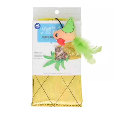 Whisker City® Pineapple Crinkle Sack Cat Toy - Image 3