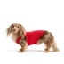 HOTEL DOGGY Oh Canada Red Dog Tank Top image thumbnail 2
