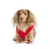 HOTEL DOGGY Oh Canada Red Dog Tank Top image thumbnail 3