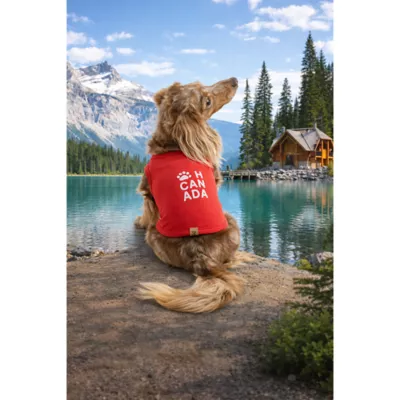 HOTEL DOGGY Oh Canada Red Dog Tank Top - Image 6