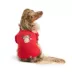 HOTEL DOGGY Moose Eh Red Dog Tank Top image thumbnail 1