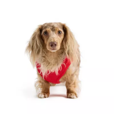 HOTEL DOGGY Flag & Paw Red Dog Tank Top - Image 3
