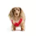 HOTEL DOGGY Flag & Paw Red Dog Tank Top image thumbnail 3
