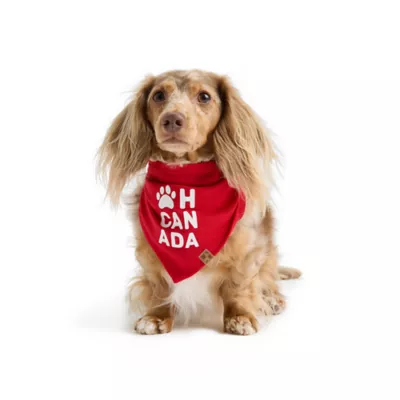 HOTEL DOGGY Oh Canada Dog Bandana - Image 1