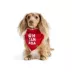 HOTEL DOGGY Oh Canada Dog Bandana image thumbnail 1