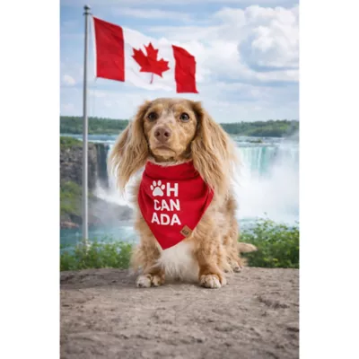 HOTEL DOGGY Oh Canada Dog Bandana - Image 4