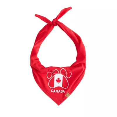 HOTEL DOGGY Flag & Paw Dog Bandana - Image 2