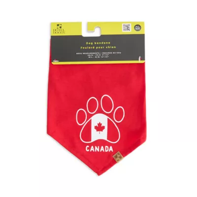 HOTEL DOGGY Flag & Paw Dog Bandana - Image 3