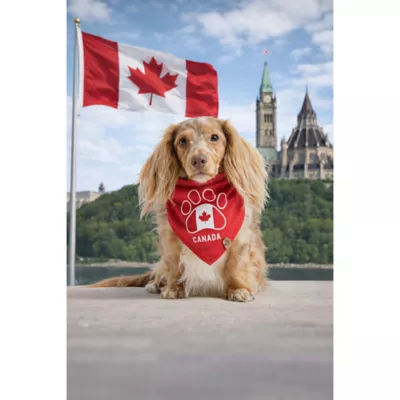 HOTEL DOGGY Flag & Paw Dog Bandana - Image 4