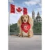 HOTEL DOGGY Flag & Paw Dog Bandana image thumbnail 4