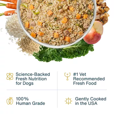 JustFoodForDogs All Life Stages Frozen Dog Food - Chicken & White Rice - Image 2