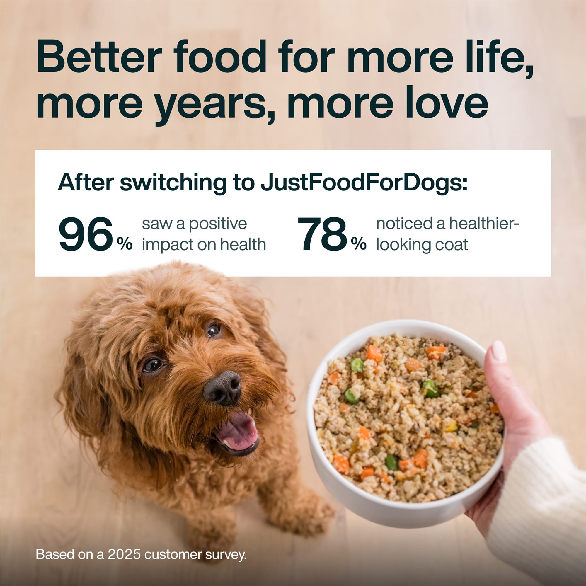 JustFoodForDogs All Life Stages Frozen Dog Food - Fish & Sweet