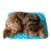 The Green Pet Shop Paw Print Cool Pet Pad image thumbnail 2