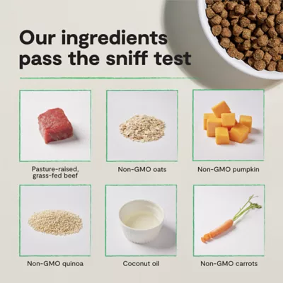 Open Farm With Grain Adult Dry Dog Food - Humanely Raised & Sustainably Sourced, Beef - Image 6