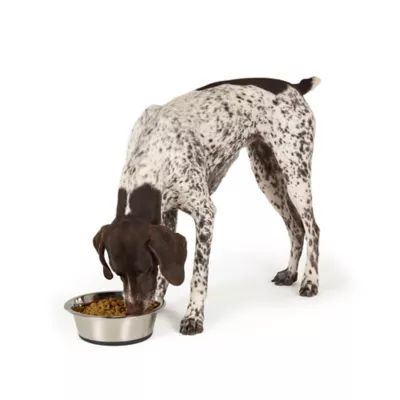 Top Paw® Non Slip Basic Stainless Steel Dog Bowl 12oz, 27oz, 52oz, 88oz, 136oz - Image 6