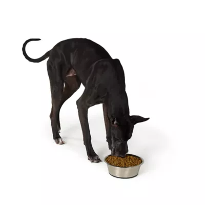 Top Paw® Non Slip Basic Stainless Steel Dog Bowl 12oz, 27oz, 52oz, 88oz, 136oz - Image 6