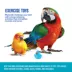 All Living Things® Rubber Duck Bird Toy image thumbnail 4