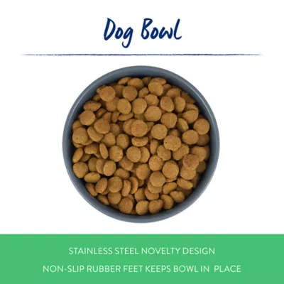 Top Paw® Dog & Bone Novelty Stainless Steel Dog Bowl 12oz, 27oz - Image 2