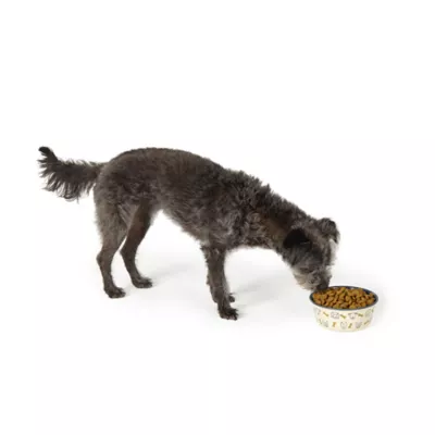Top Paw® Dog & Bone Novelty Stainless Steel Dog Bowl 12oz, 27oz - Image 6
