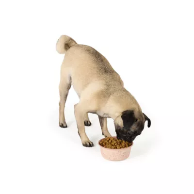 Top Paw® Pink Dog Novelty Stainless Steel Dog Bowl 12oz, 27 oz - Image 6
