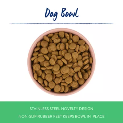 Top Paw® Pink Dog Novelty Stainless Steel Dog Bowl 12oz, 27 oz - Image 2