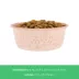 Top Paw® Pink Dog Novelty Stainless Steel Dog Bowl 12oz, 27 oz image thumbnail 4