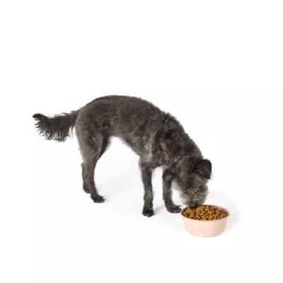 Top Paw® Pink Dog Novelty Stainless Steel Dog Bowl 12oz, 27 oz - Image 6