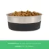 Top Paw® Stainless Steel Black Rubber Dog Bowl 12oz, 27oz image thumbnail 4