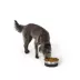 Top Paw® Stainless Steel Black Rubber Dog Bowl 12oz, 27oz image thumbnail 6